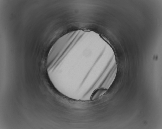 X0000091950044200710041017