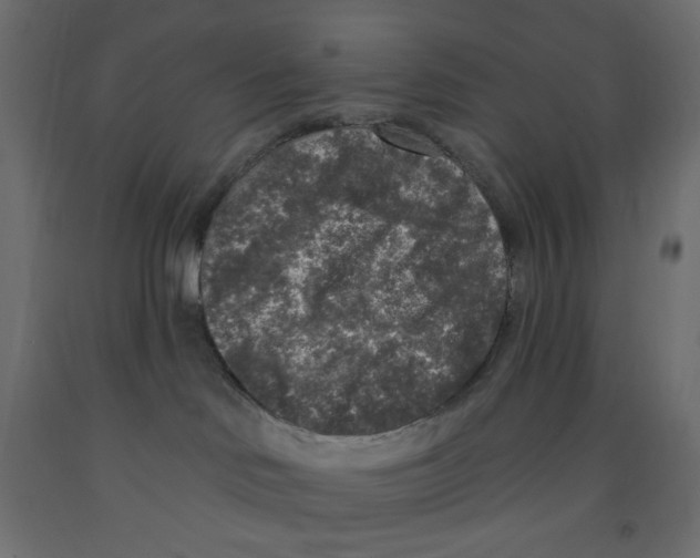 X0000091950046200710041017