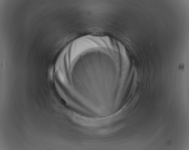 X0000091950047200710041017