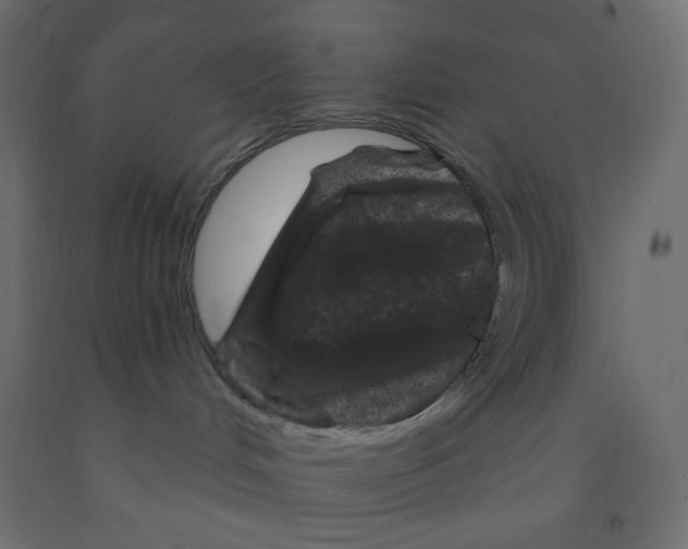 X0000091950048200710041017