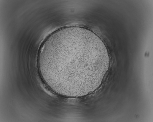 X0000091950050200710041016