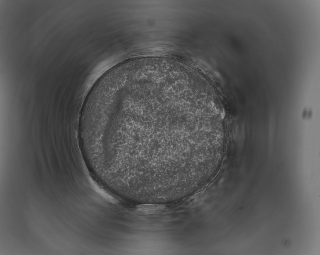 X0000091950051200710041016