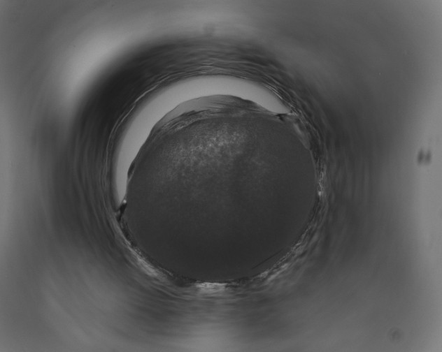 X0000091950052200710041016