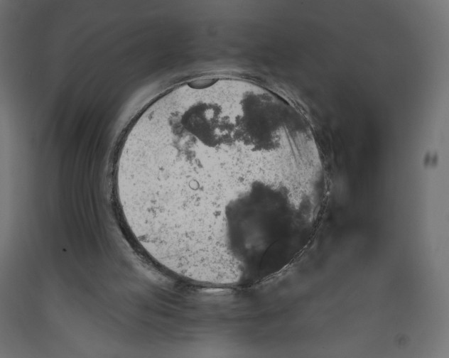 X0000091950053200710041016