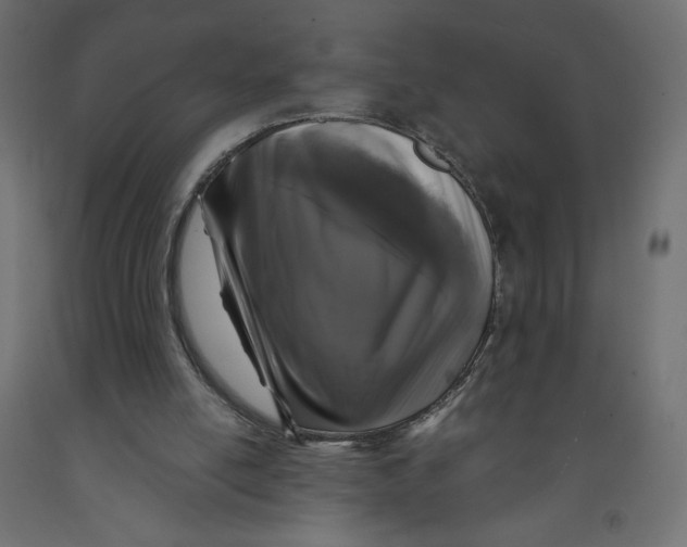 X0000091950054200710041016