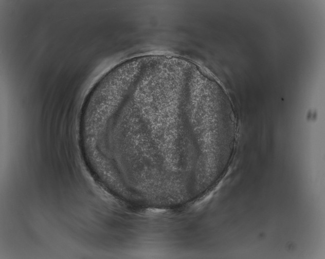 X0000091950055200710041016