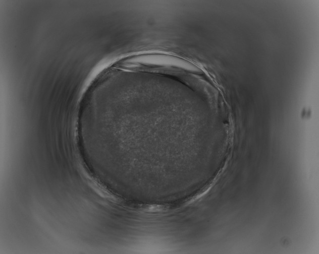 X0000091950056200710041016