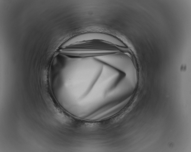 X0000091950057200710041016