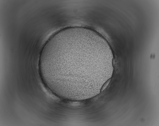 X0000091950058200710041016