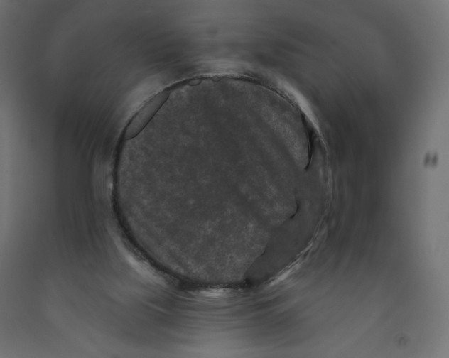 X0000091950059200710041016