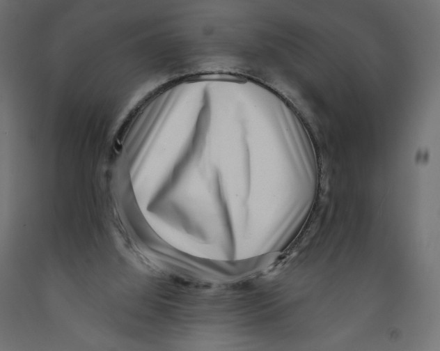 X0000091950060200710041016