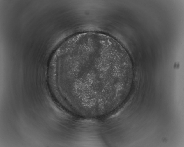 X0000091950063200710041016
