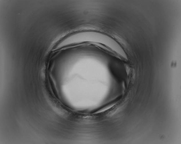 X0000091950064200710041016