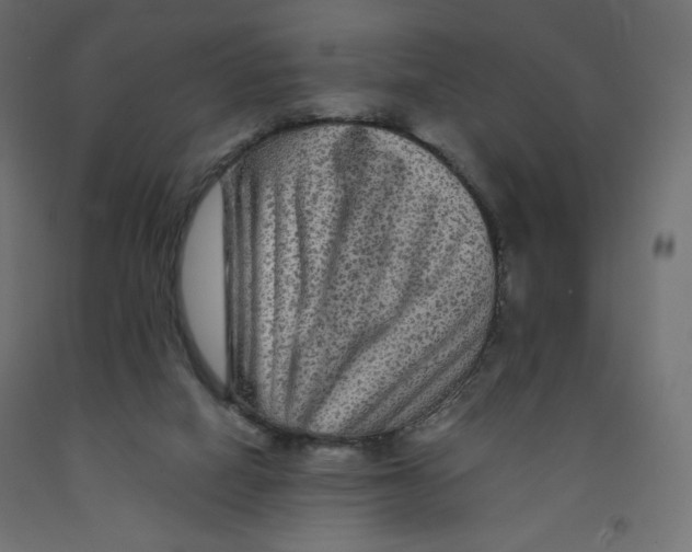 X0000091950066200710041016