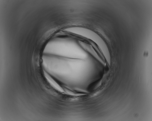 X0000091950068200710041016