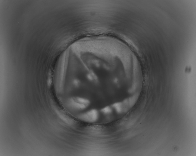 X0000091950069200710041016