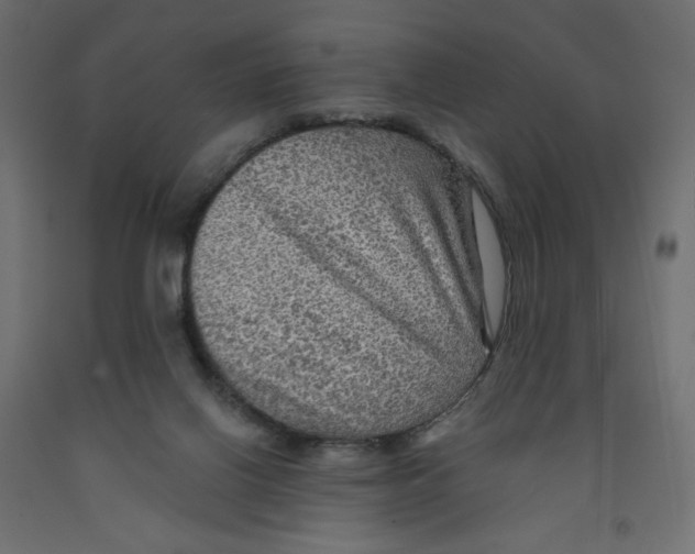 X0000091950070200710041016