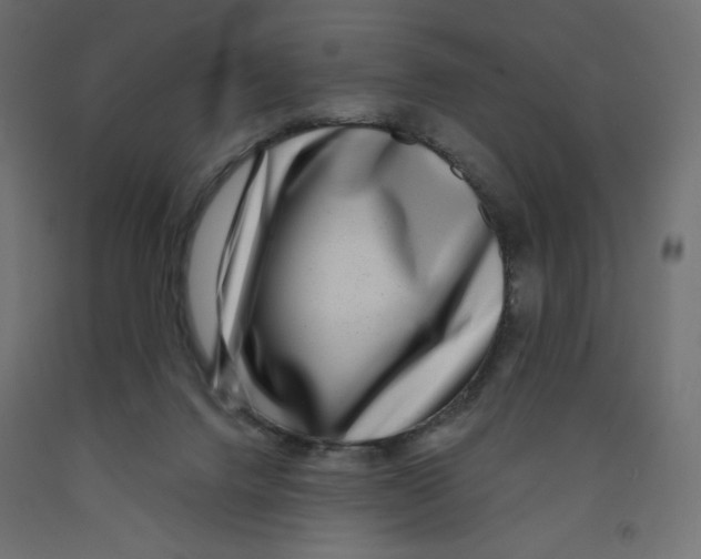 X0000091950072200710041016