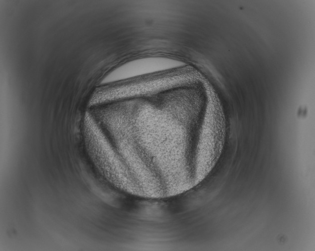 X0000091950073200710041016