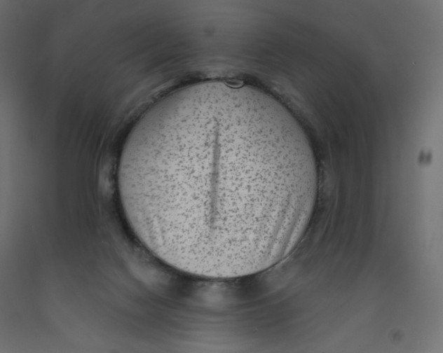 X0000091950074200710041016