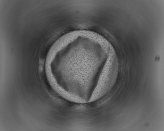 X0000091950075200710041016