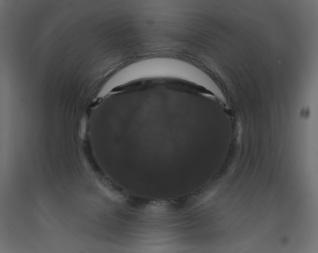 X0000091950076200710041016