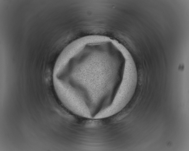 X0000091950077200710041016