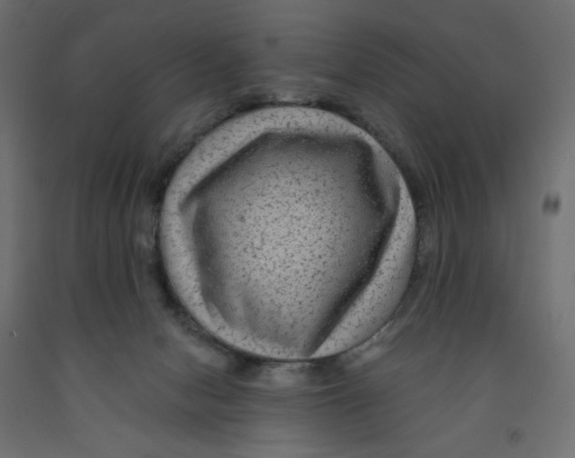 X0000091950078200710041016
