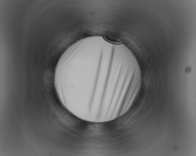 X0000091950079200710041016