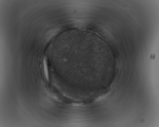 X0000091950080200710041016