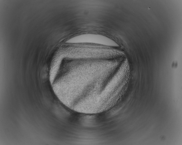 X0000091950081200710041016