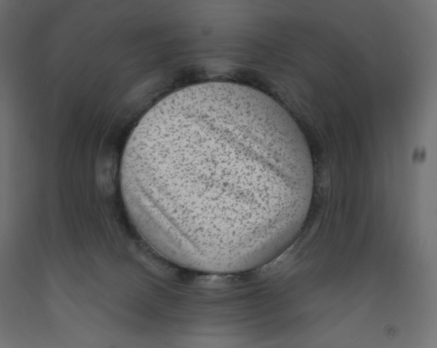 X0000091950082200710041016