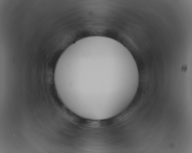 X0000091950083200710041016