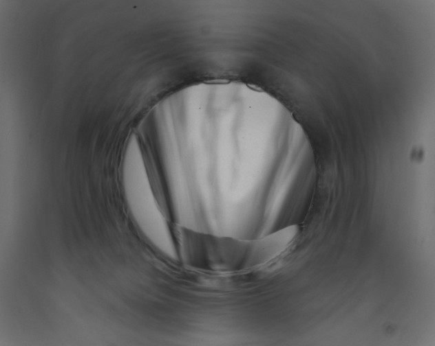 X0000091950084200710041016