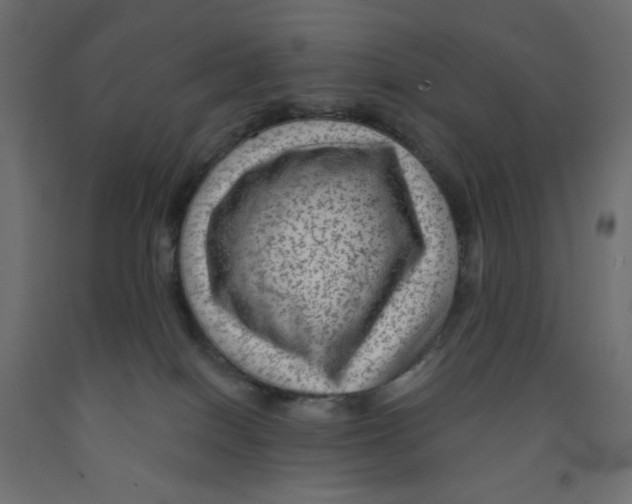 X0000091950086200710041016