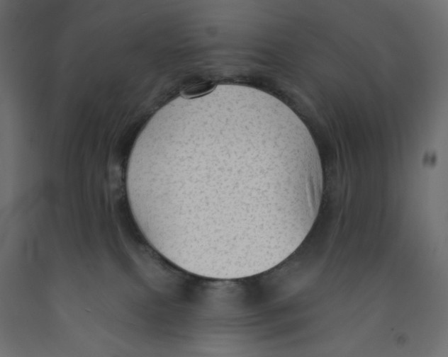 X0000091950087200710041016