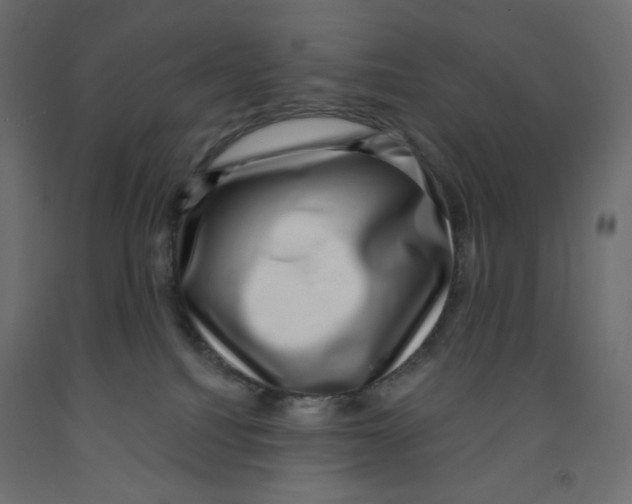 X0000091950088200710041016