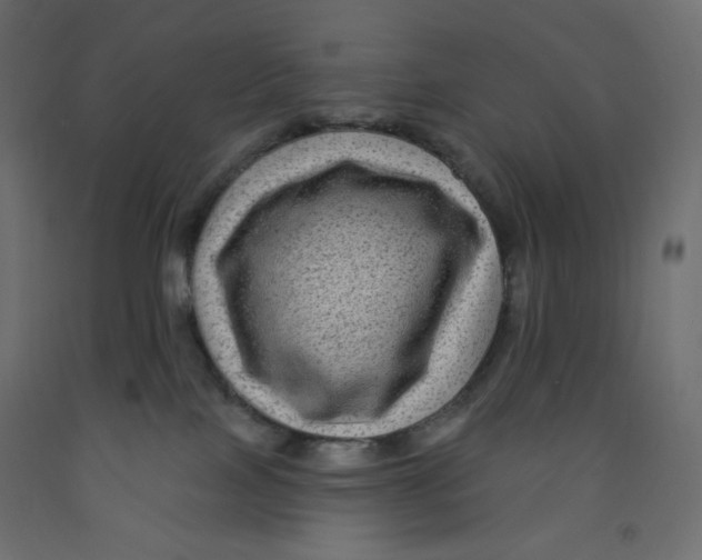 X0000091950089200710041016