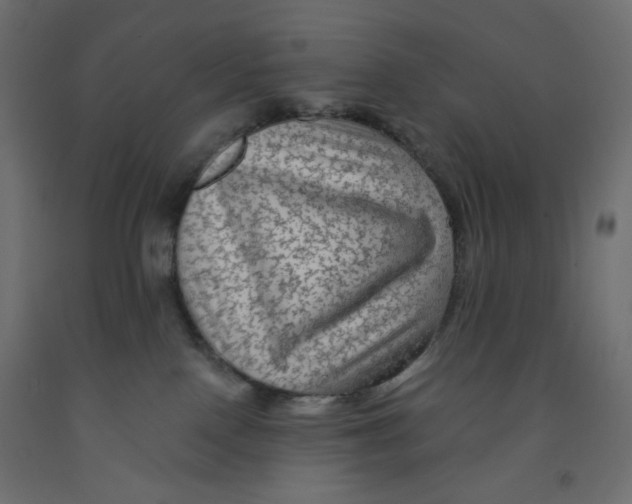 X0000091950090200710041016