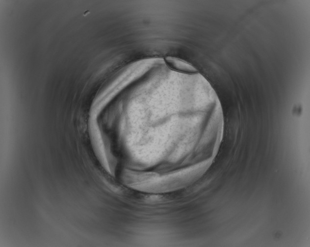 X0000091950091200710041016