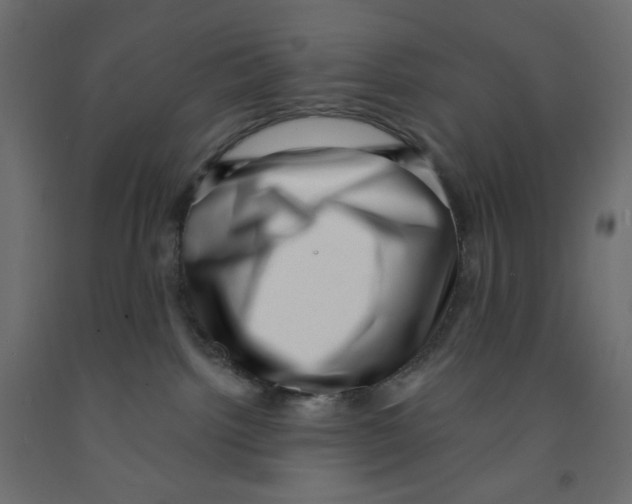 X0000091950092200710041016