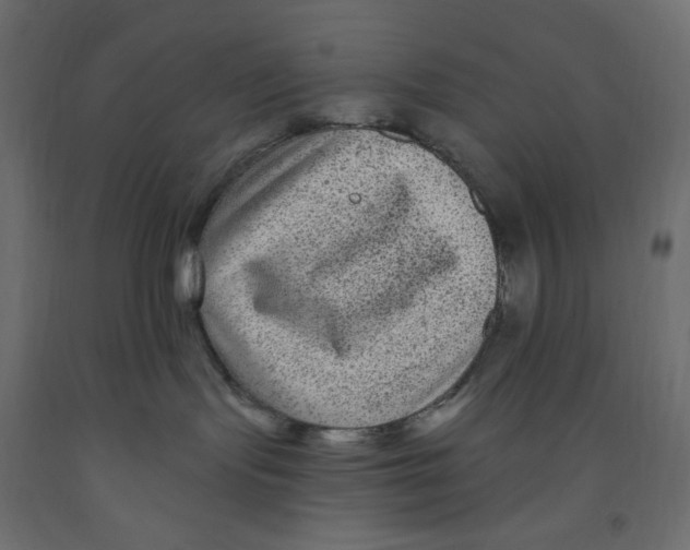 X0000091950095200710041017