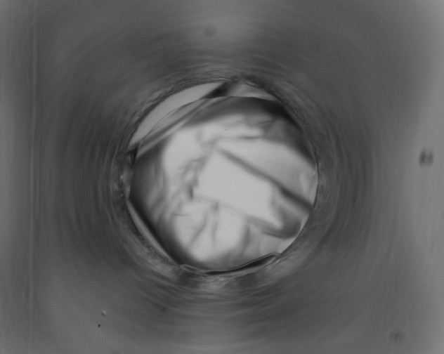 X0000091950096200710041017