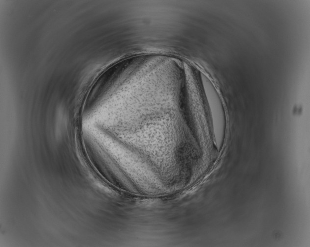 X0000091950097200710041016
