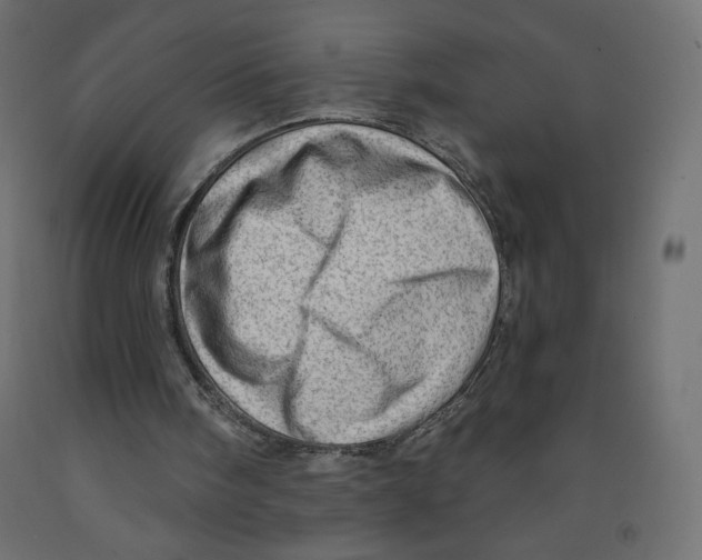X0000091950098200710041016