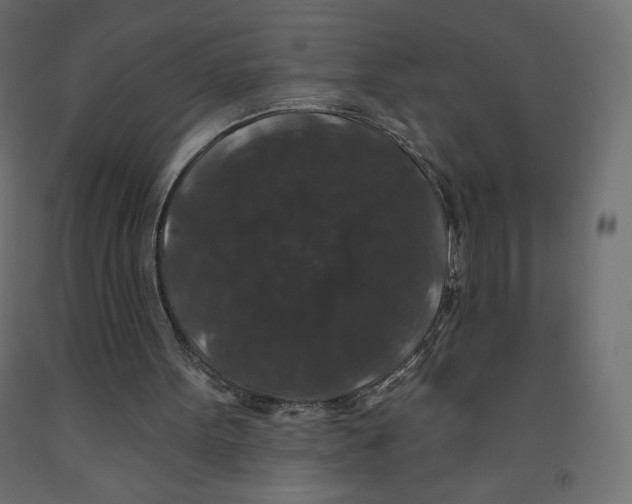 X0000091950099200710041016