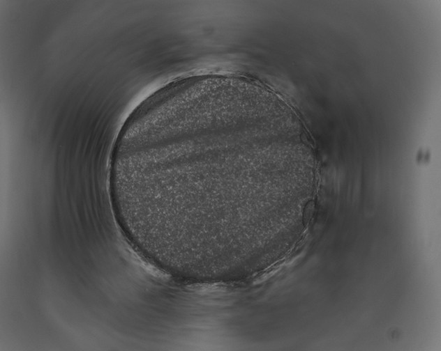 X0000091950100200710041016