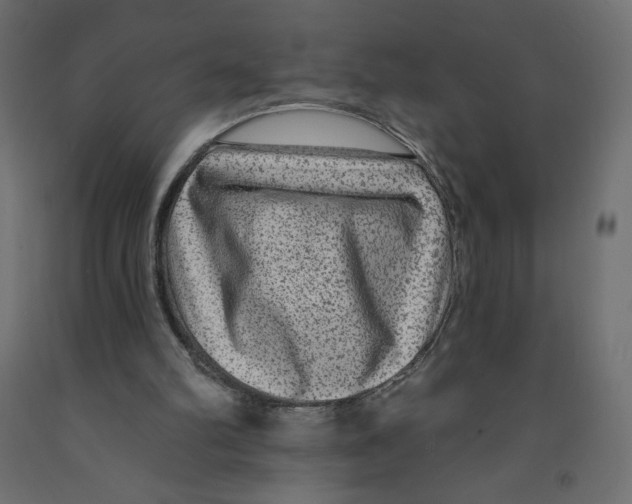 X0000091950102200710041016