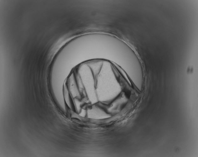 X0000091950103200710041016