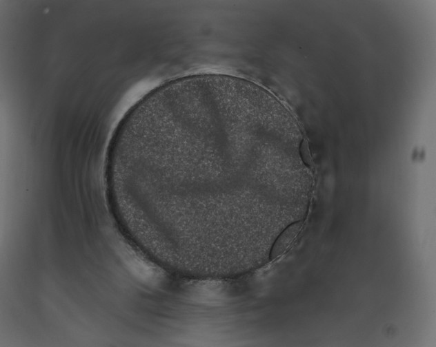 X0000091950104200710041016
